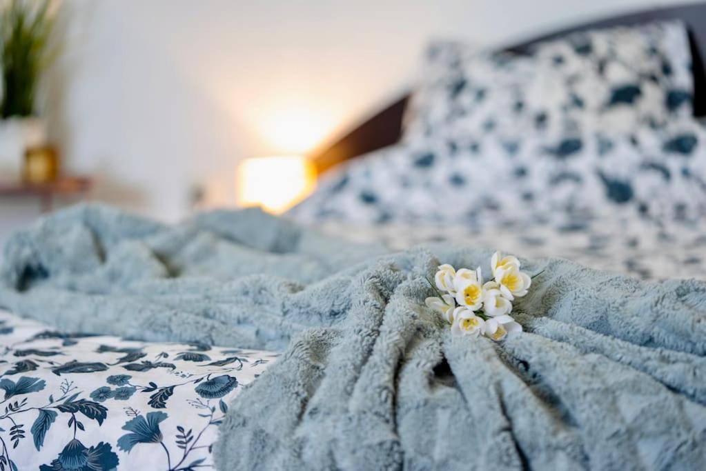 Cozy 1-Bedroom Flat In The Very Center Of โซเฟีย ภายนอก รูปภาพ